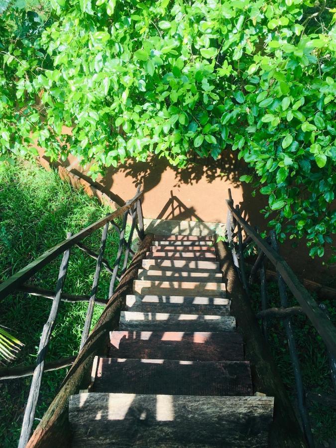 Tree House Hostel Sigiriya Exterior photo