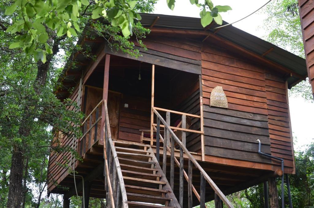 Tree House Hostel Sigiriya Exterior photo